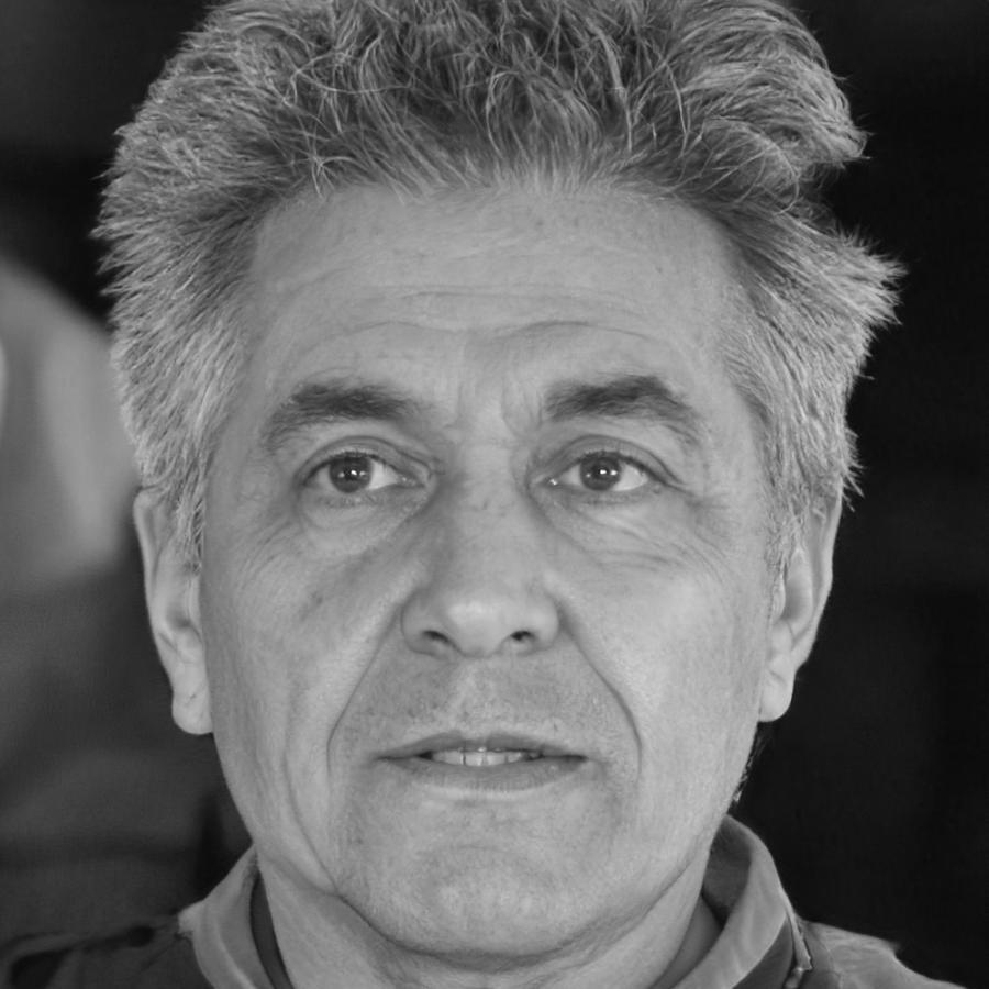 Ritratto professionale di Ludovico Santangelo